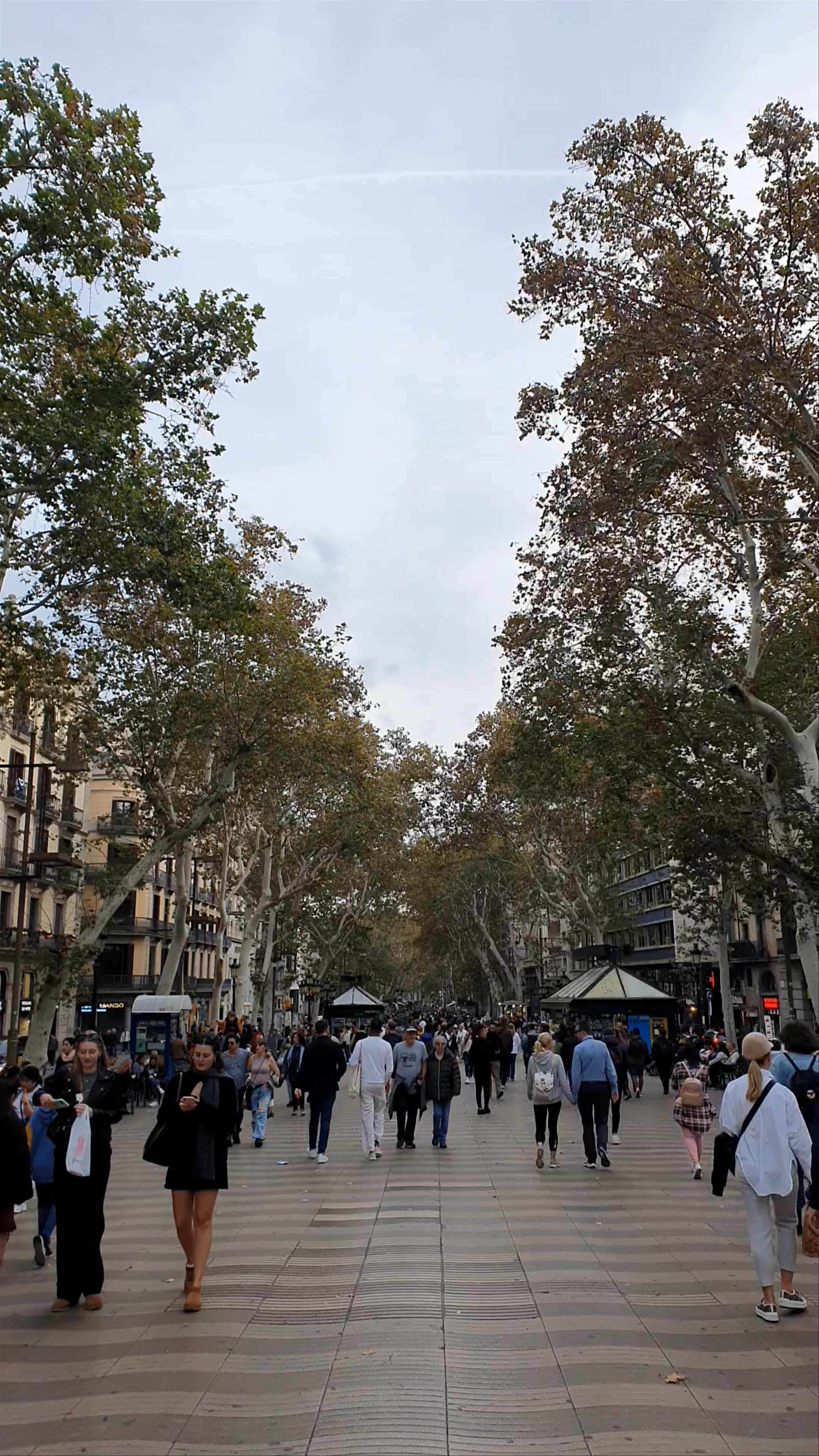 La Rambla