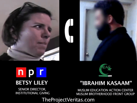 Video Thumbnail Loop