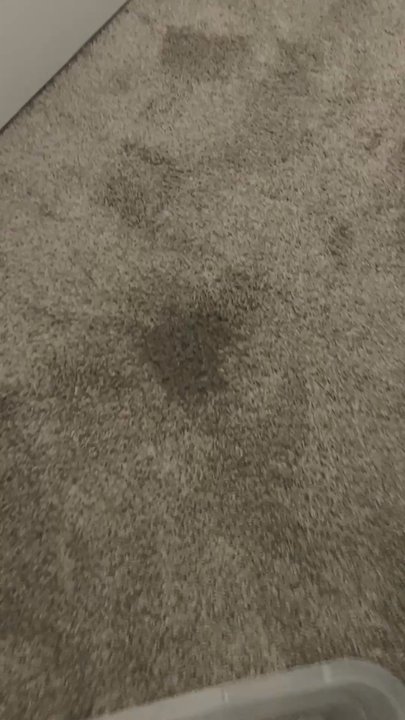 Olympus Property - Repeated roof leak - Property Management Near Me - Fort Worth, Texas