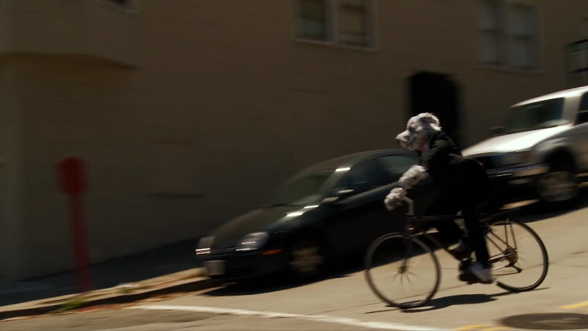 A large dog walks through a city park before the scene shifts to a person riding a bicycle down a steep San Francisco street toward the bay.