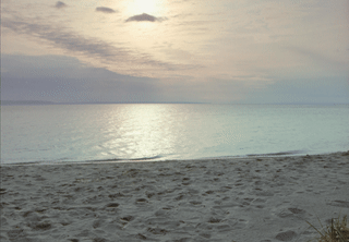 Still frame from the commercial titled Dirt