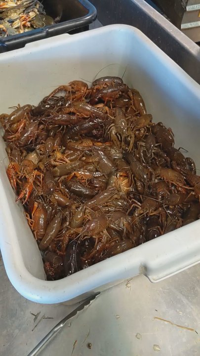 Marietta Crawfish - Live crawfish. $5.99 per pound. - Chicken Wings Near Me - Marietta, Georgia