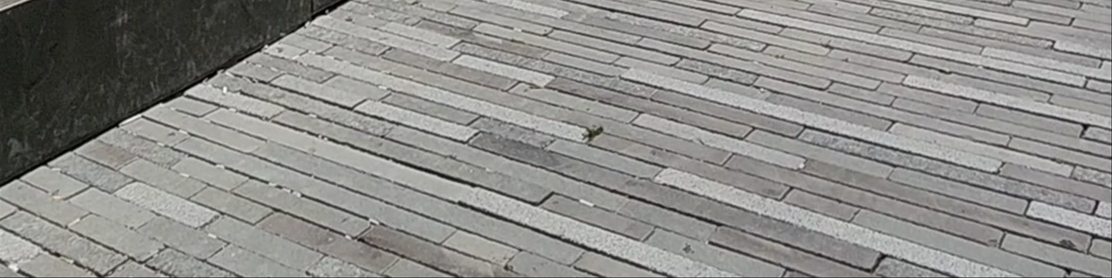 Turnul Croitorilor