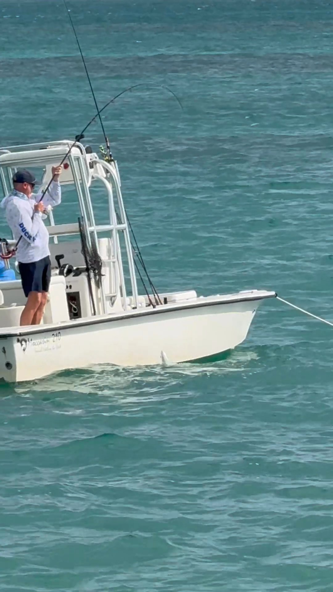 Morning views at Blanco Bay.  This was so cool to...