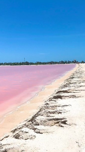 Photo of The magical PINK LAK