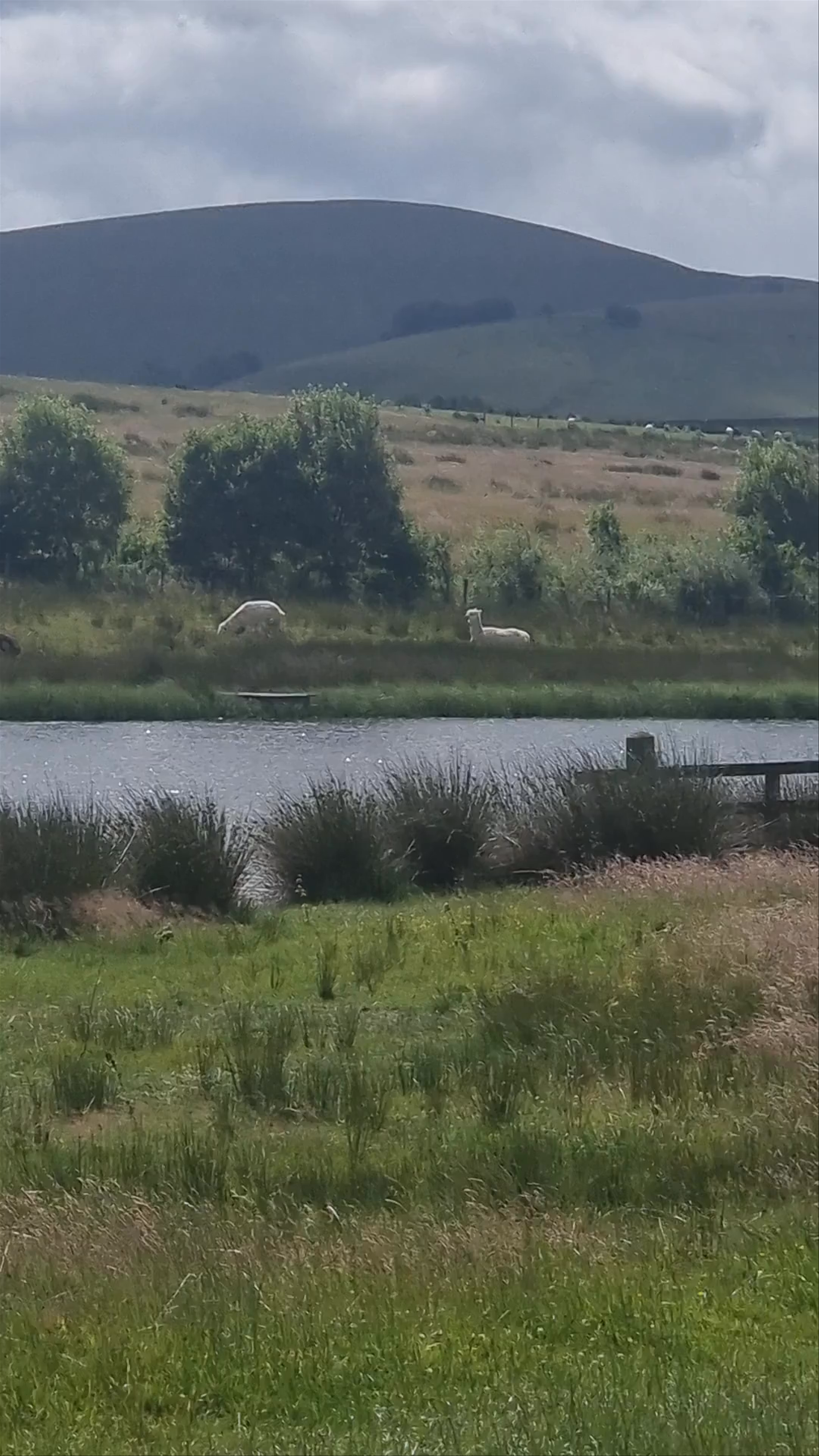 Basecamp North Lakes - Farmshop & Kitchen