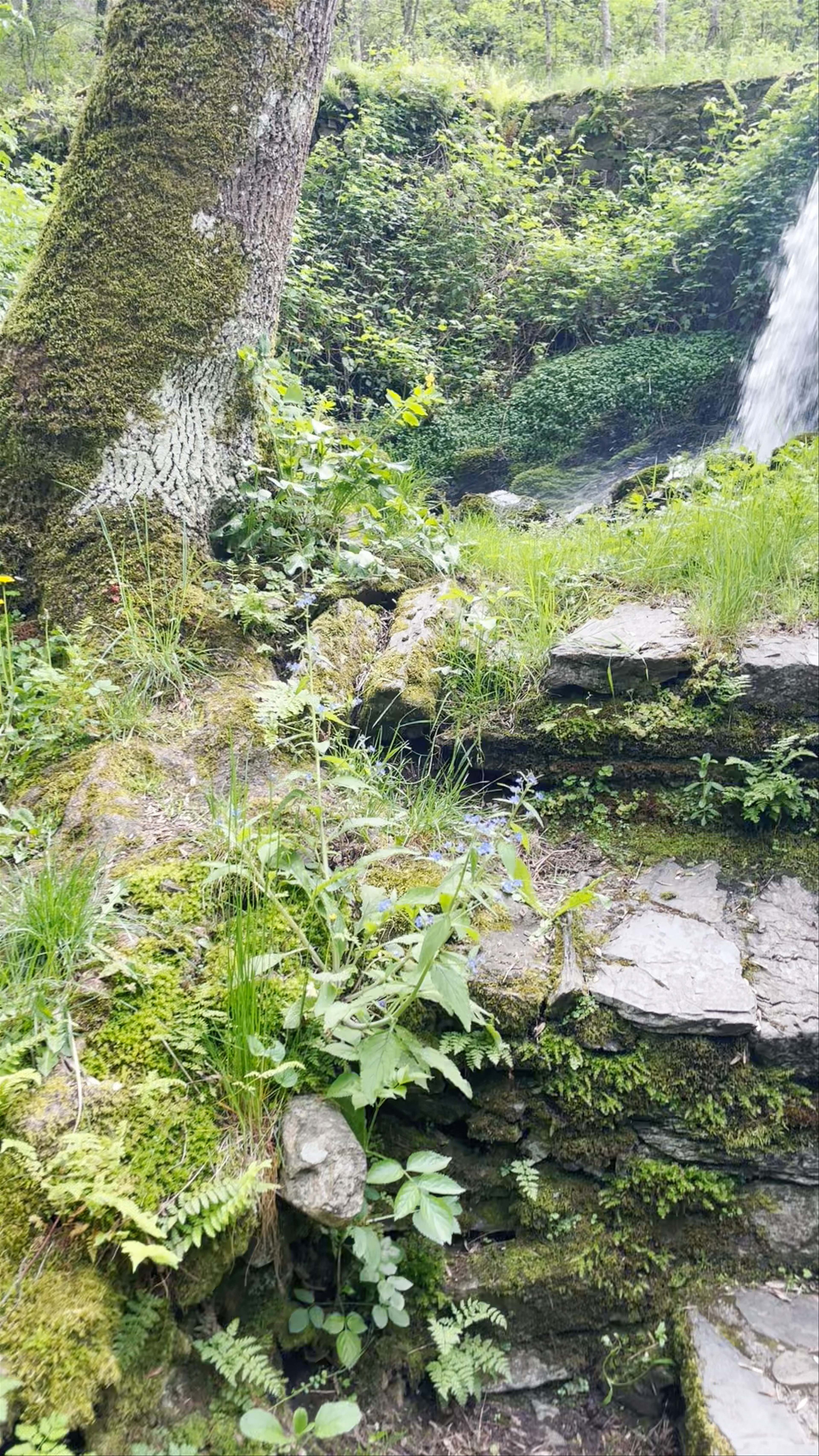 Herrería de Compludo