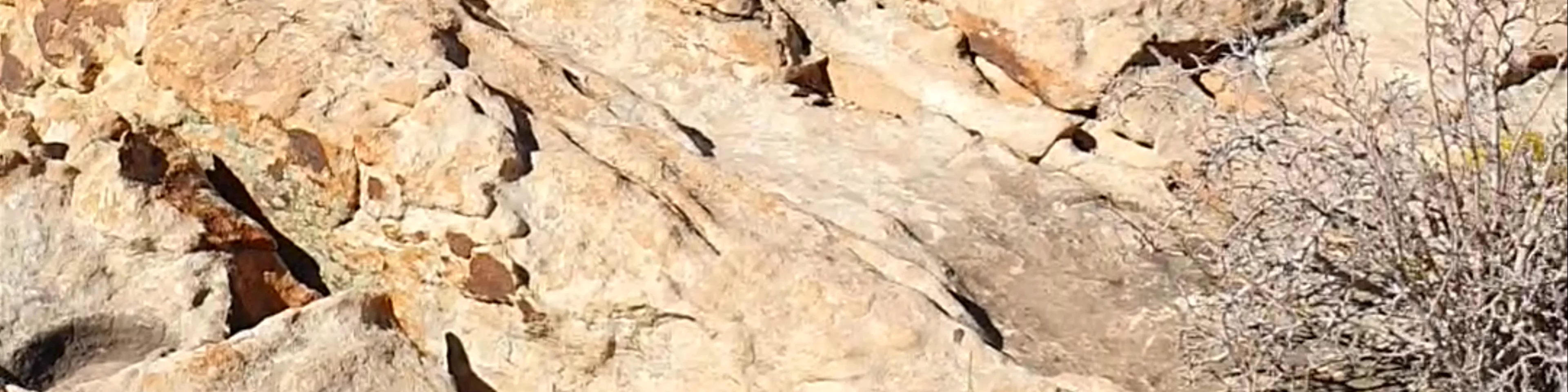 Hermit Trail