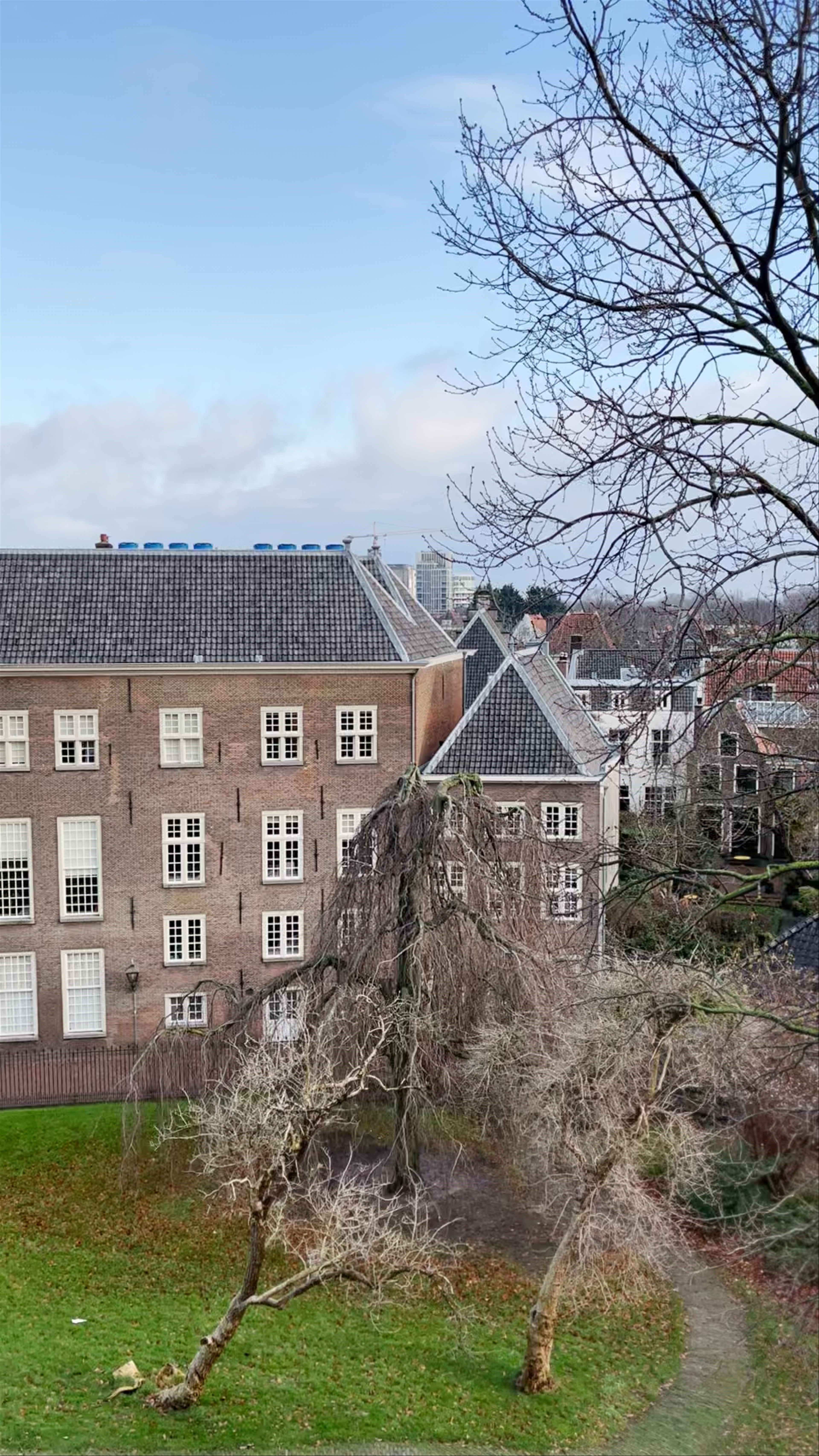 Winter Serenity at Burcht van Leiden: A Panoramic View of Historic Leiden