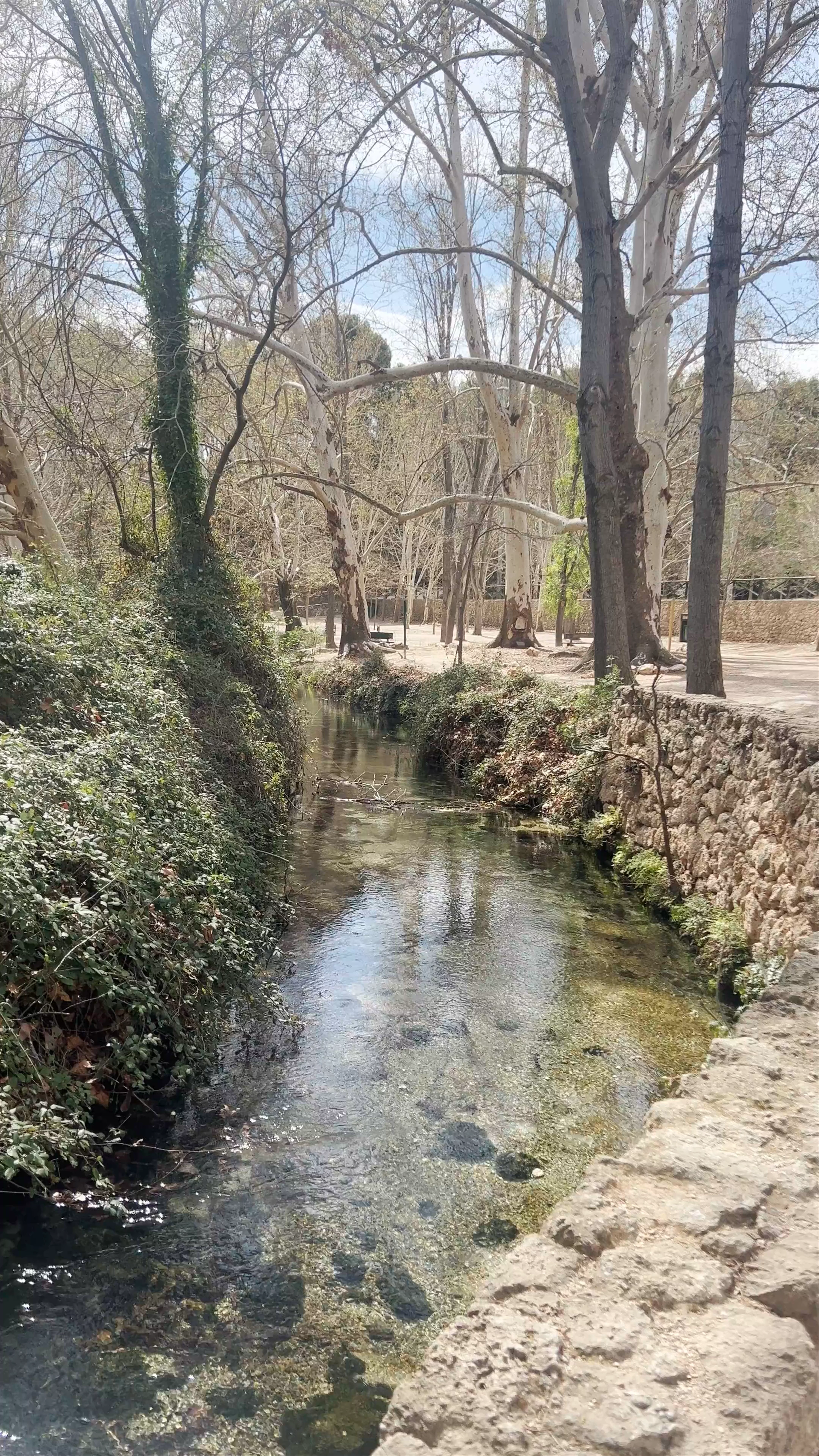 Fuentes del Marqués