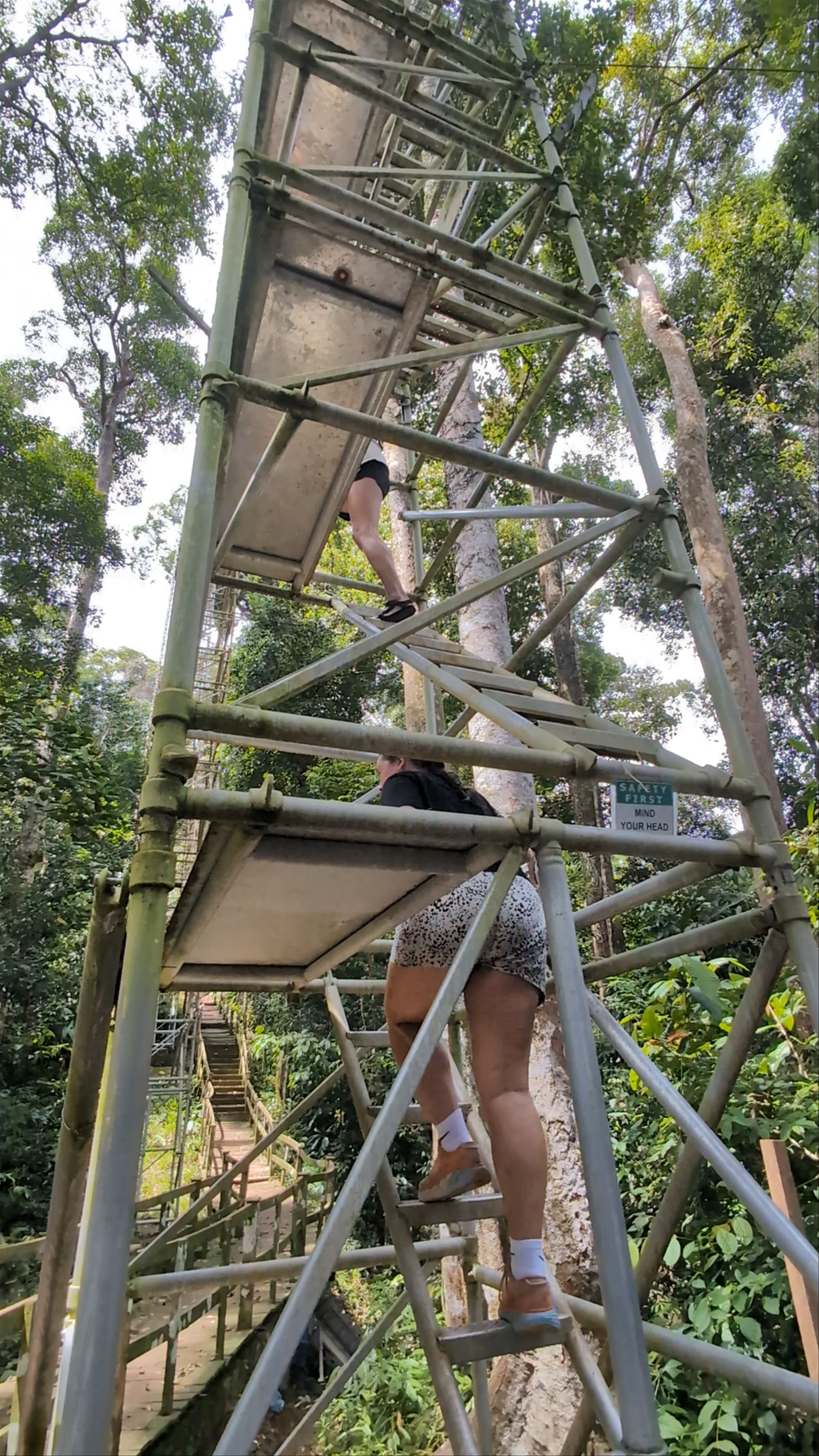 Ulu Temburong Canopy Walk