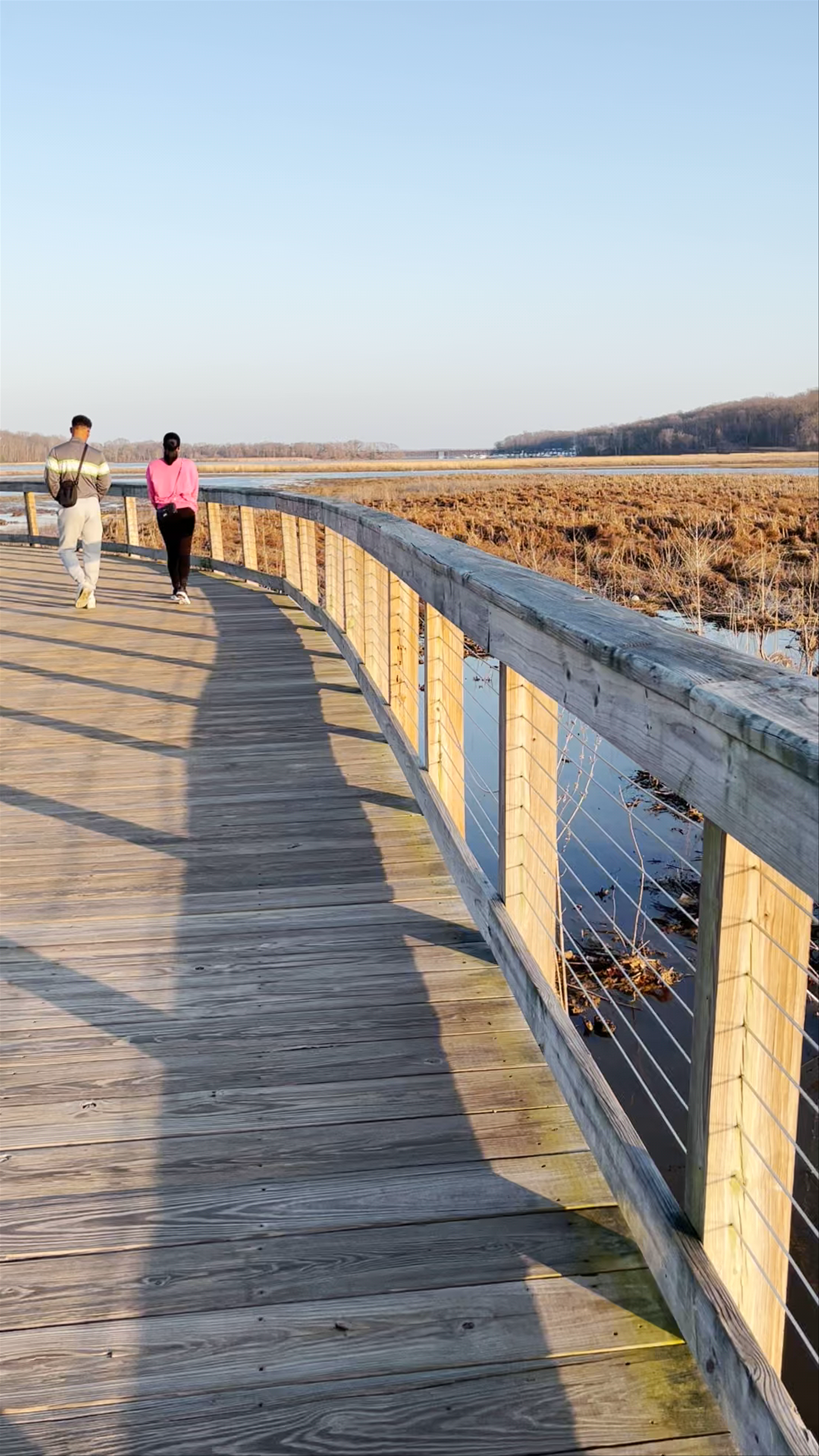 Neabsco Creek Boardwalk