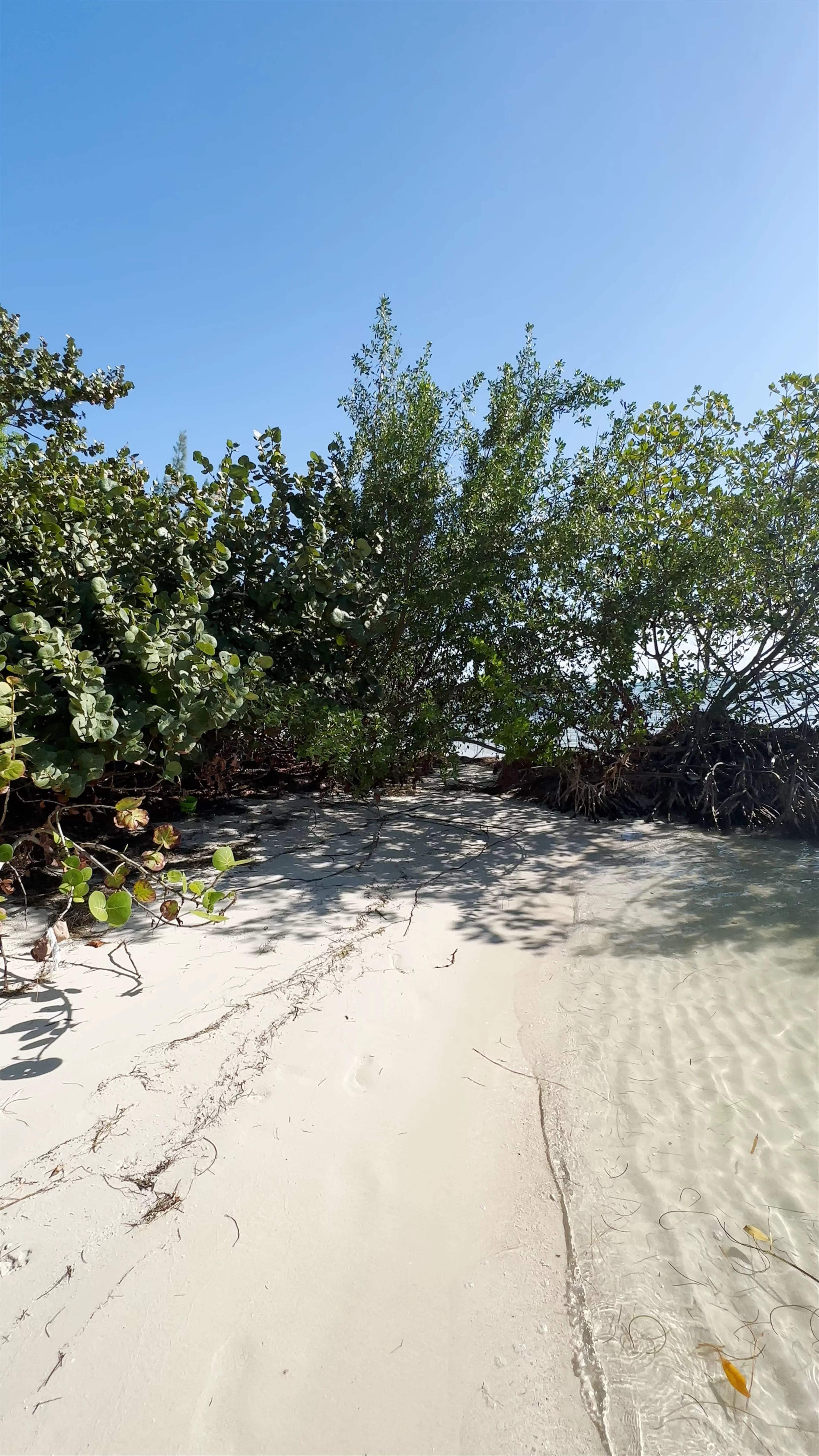 Sombrero Beach