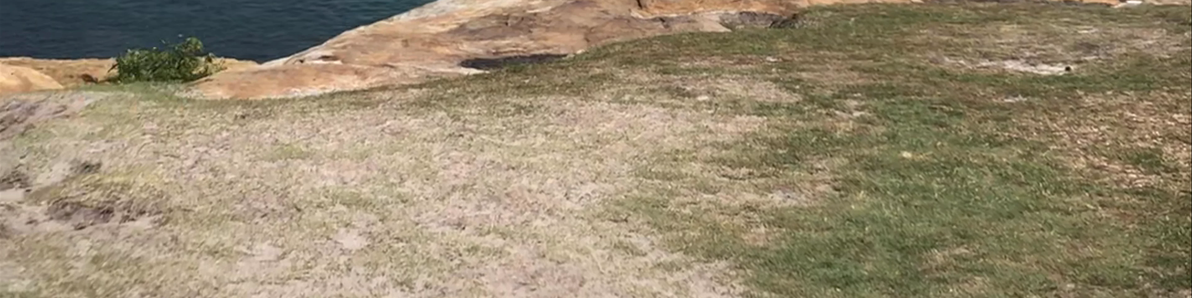 Bare Island Fort