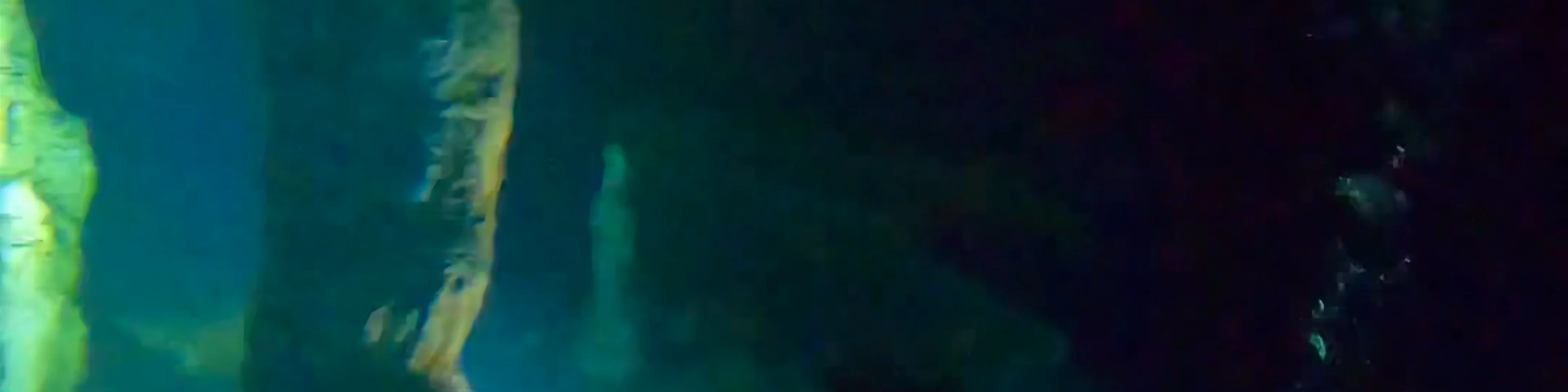 Cenote Dos Ojos
