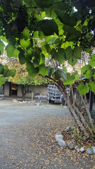 Ávila Adobe - Outside - Museums Near Me - Los Angeles, California