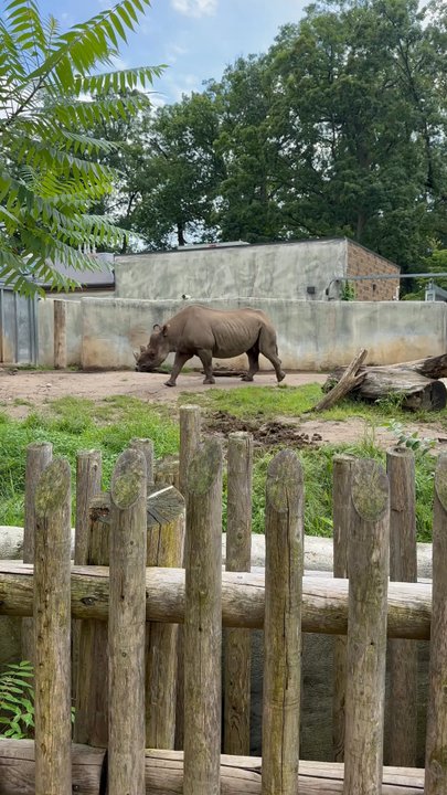 POTTER PARK ZOO - Updated June 2026 - 211 Photos & 63 Reviews - 1301 S ...