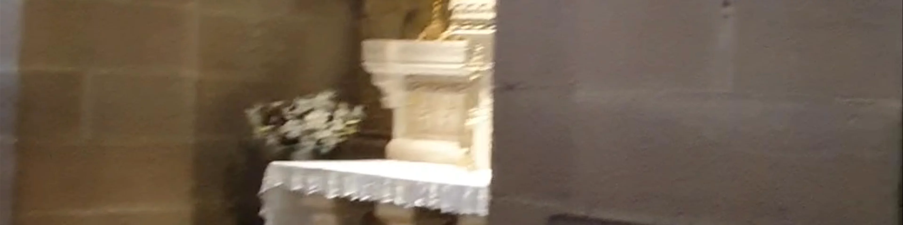 Basílica de San Francisco Javier