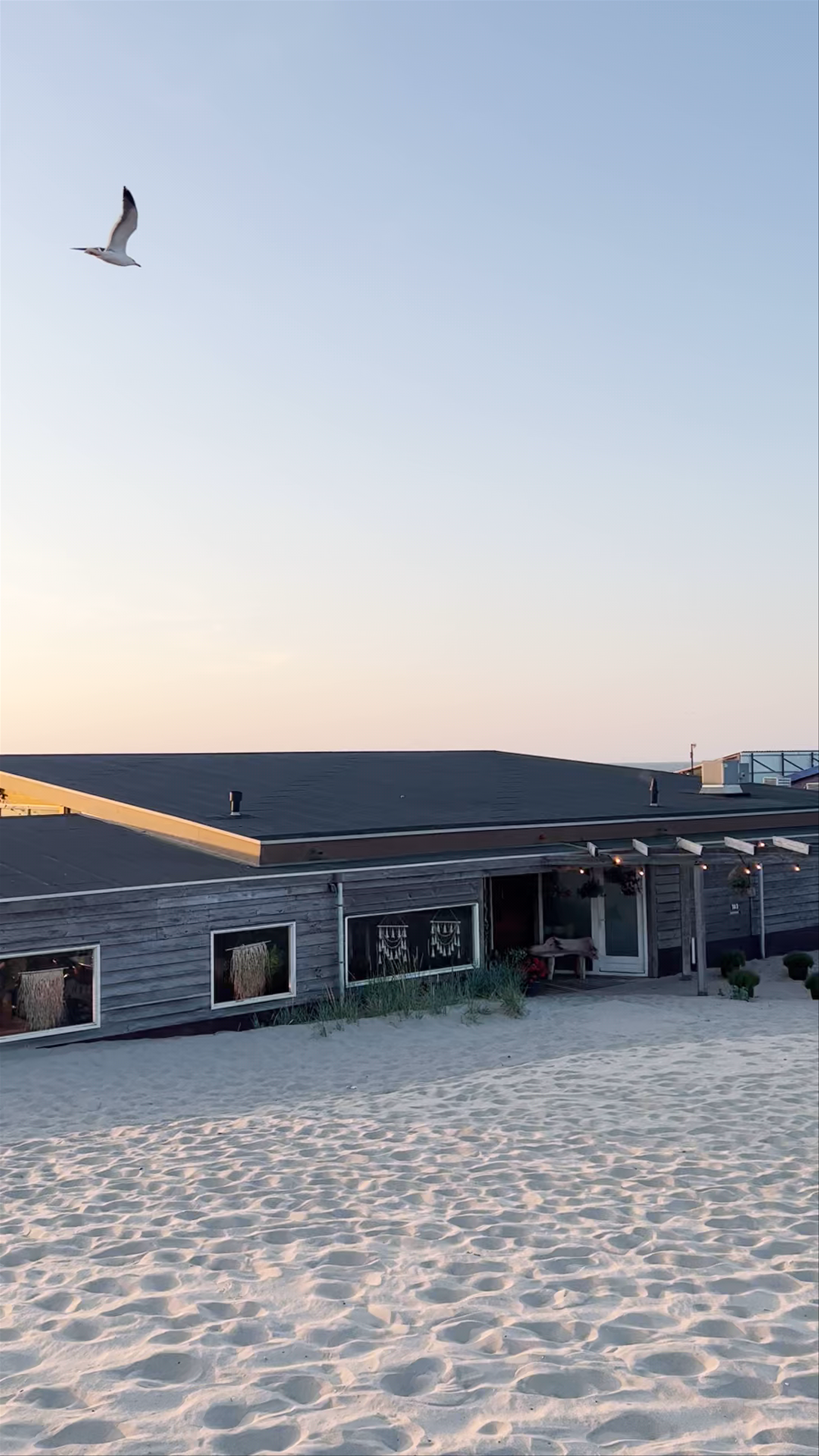 Golden Hour Beach Vibes at Beachclub Royal, Hoek van Holland