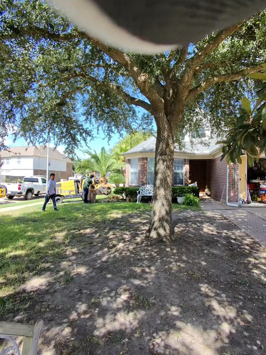 On Point Tree Service - Amazing work - Tree Services Near Me - Katy, Texas