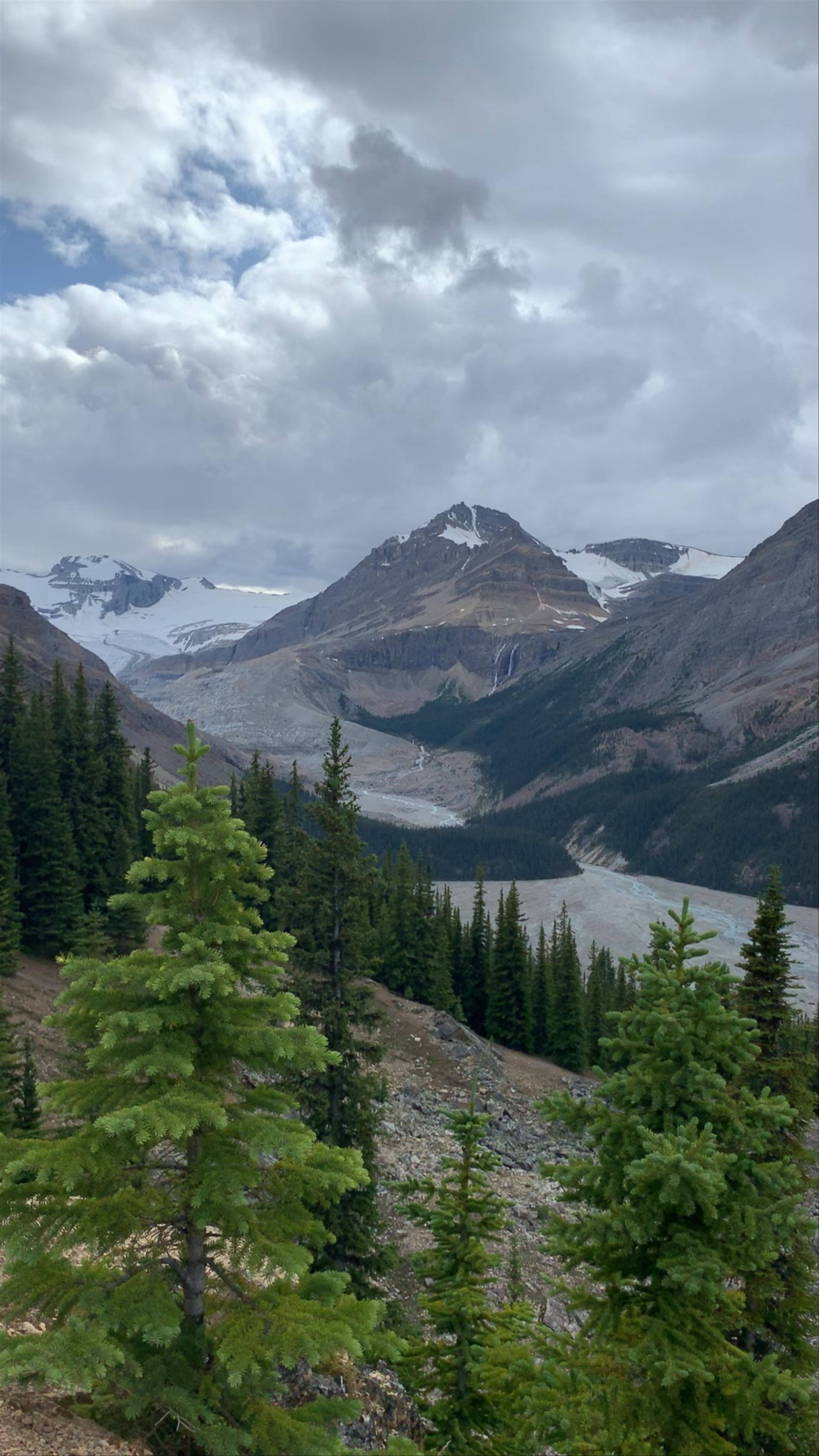 Mystical Views of Peyto Lake from Alberta's Rocky Mountains