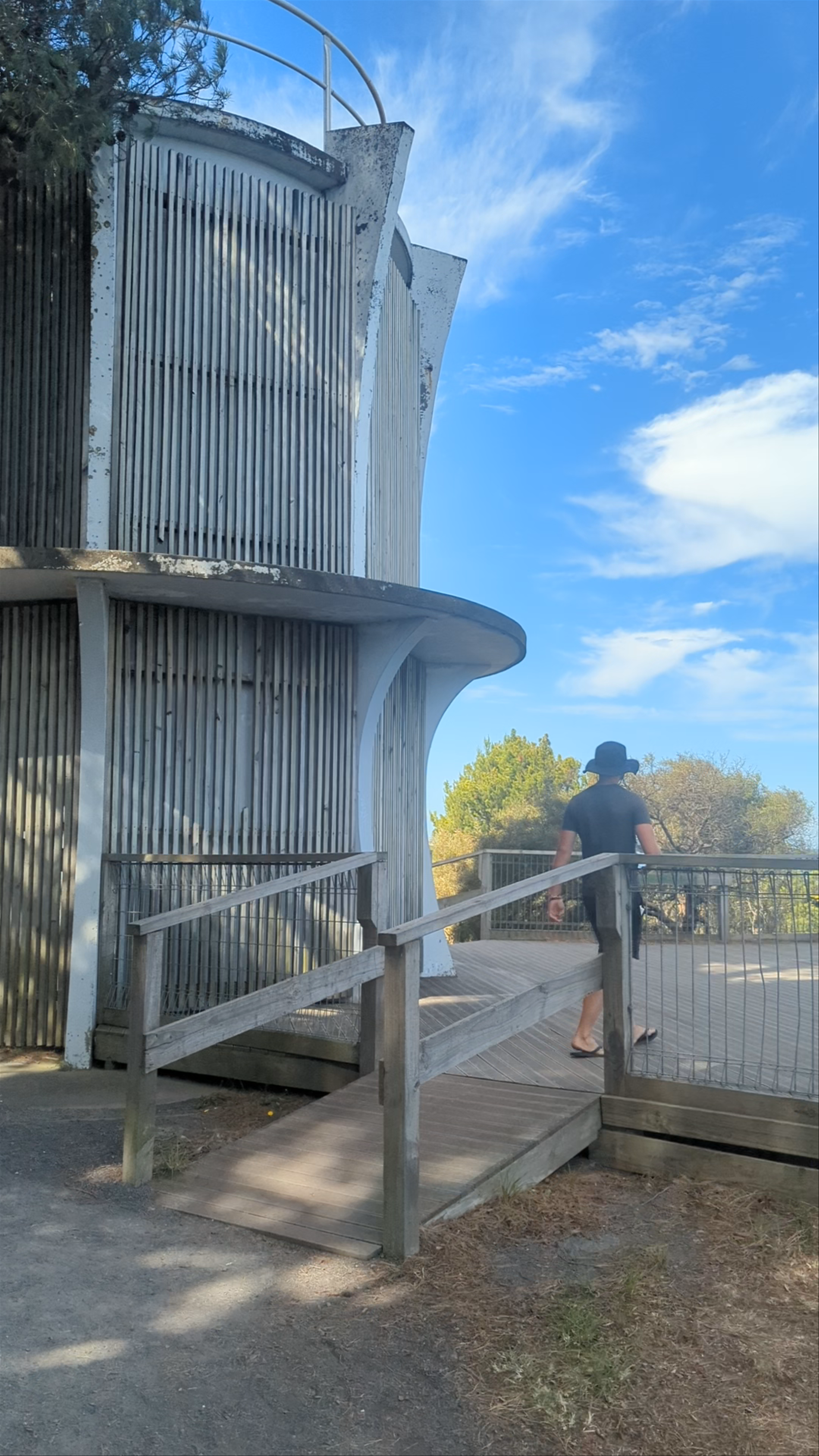 Stephen Henty Lookout