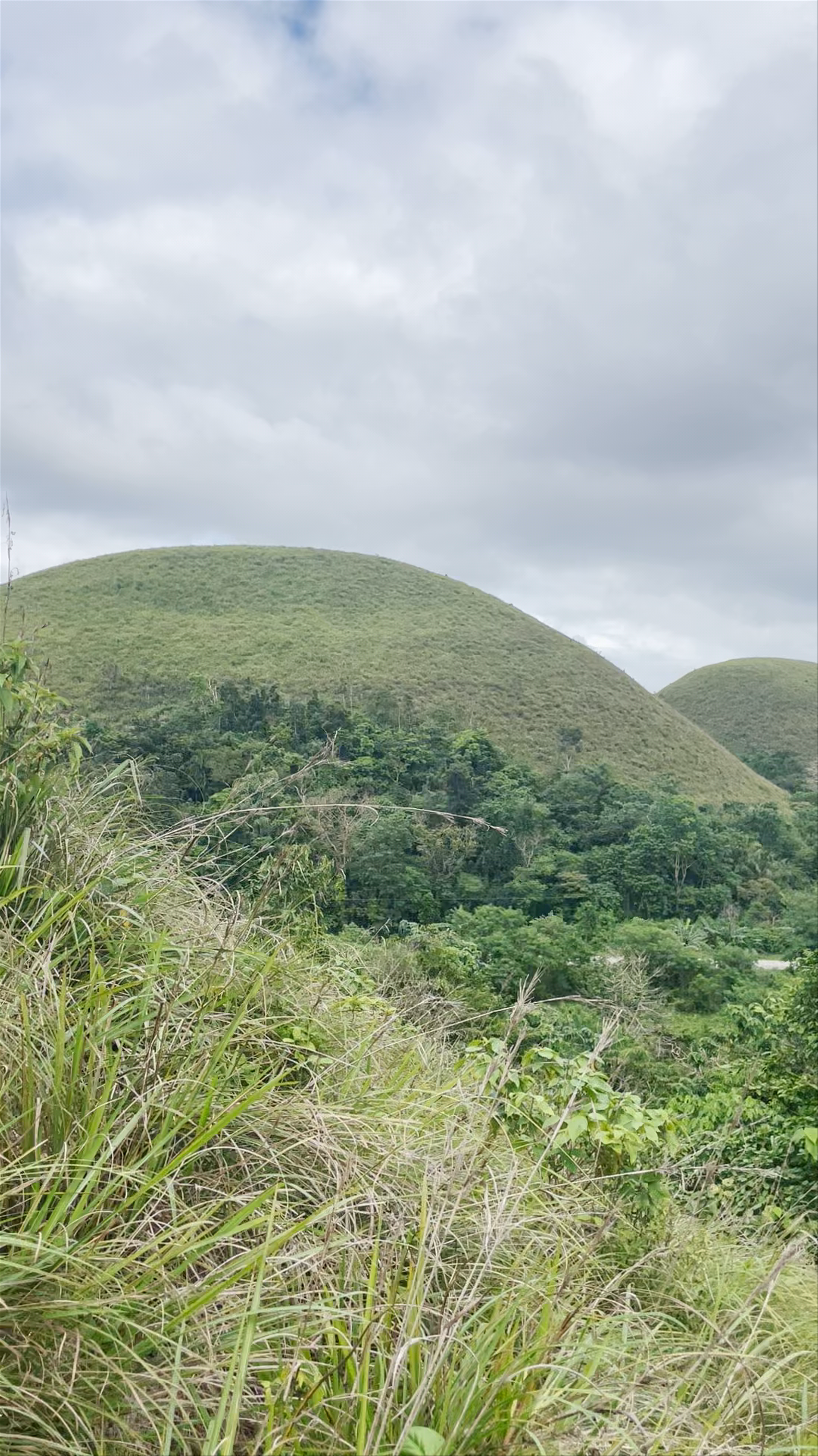 Chocolate Hills