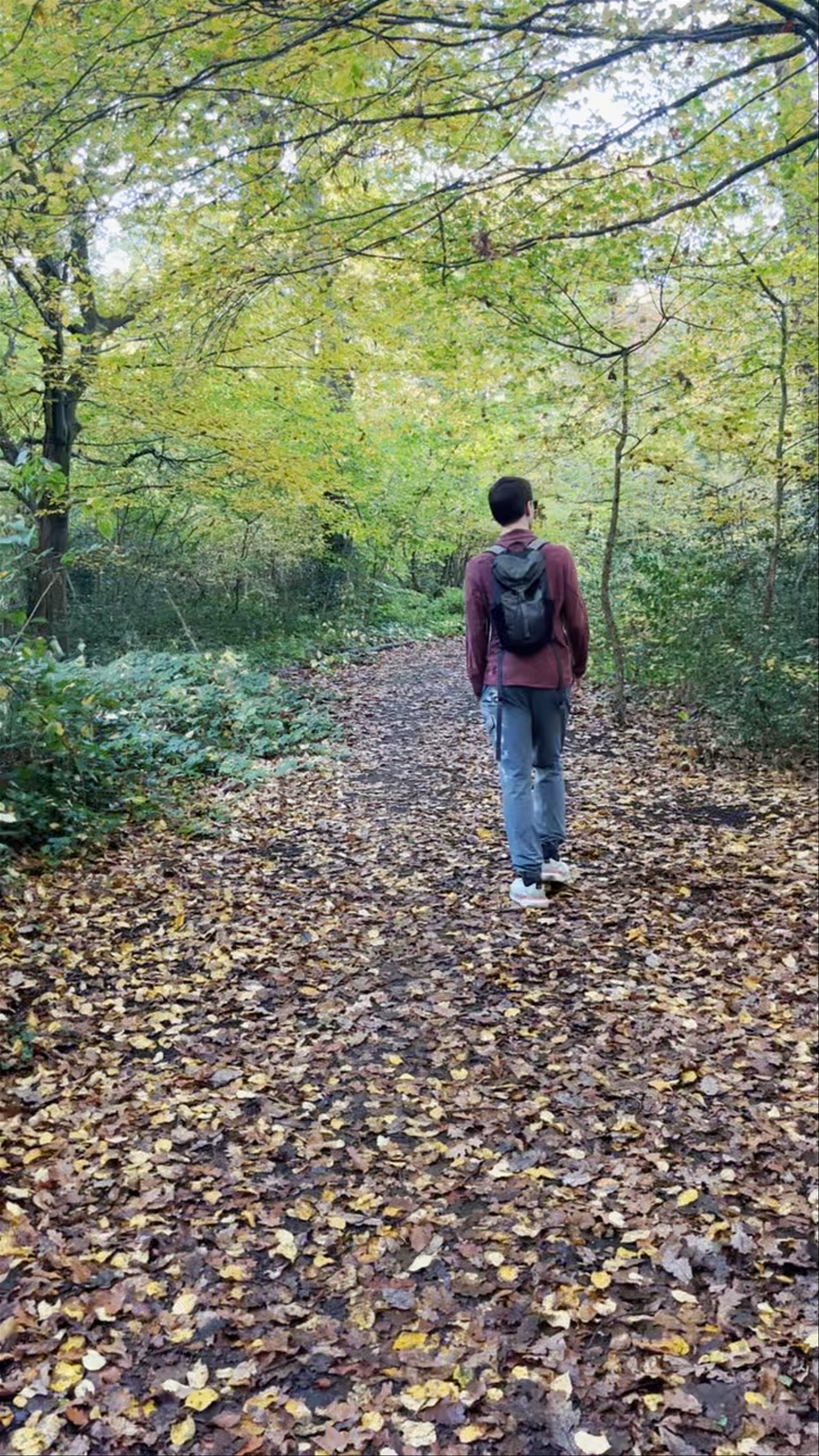 Autumn Walk Through Queens Wood in London