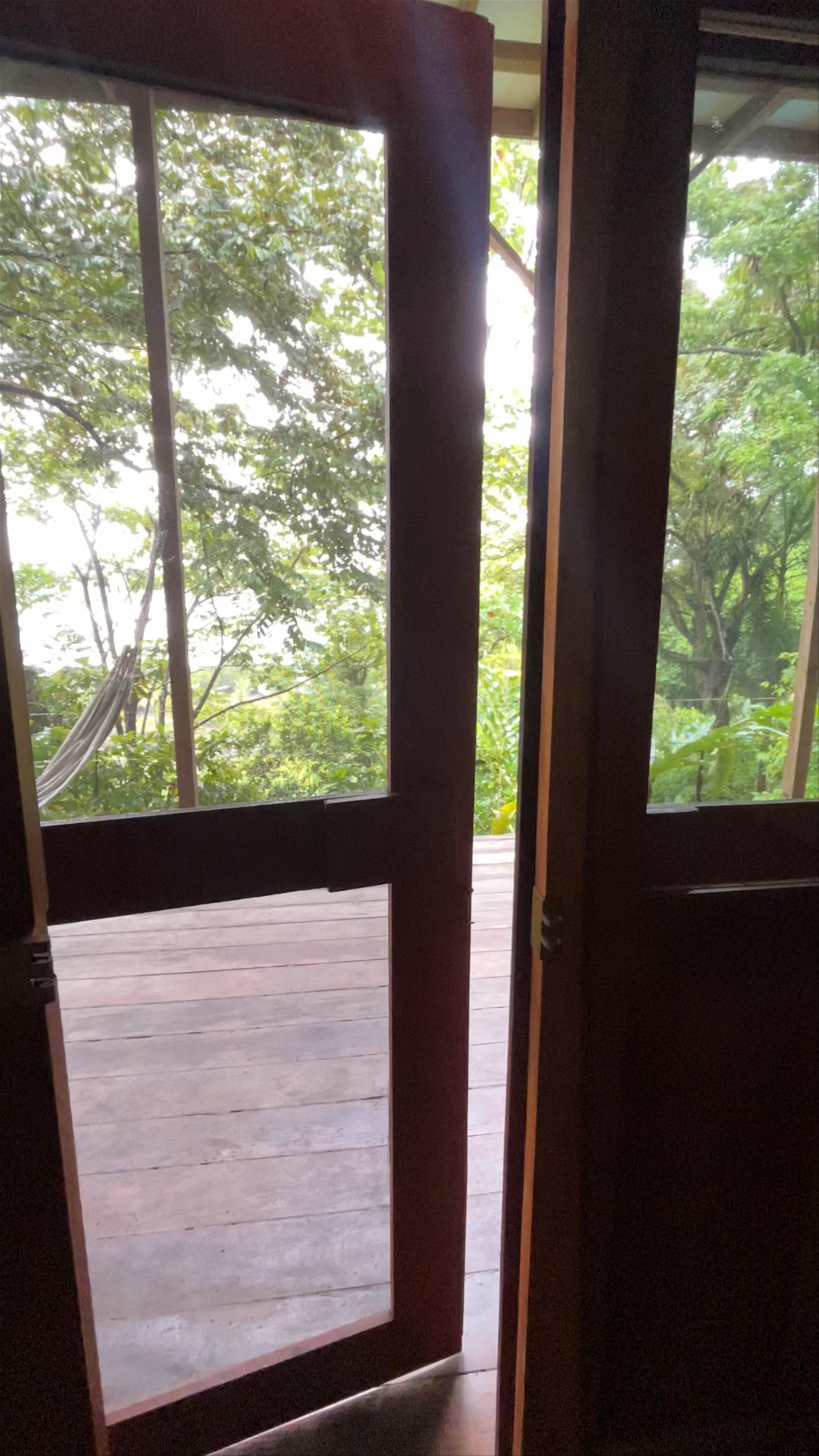 Escape to Ataraxia Guesthouse: Tranquil Jungle Views on Bastimentos Island