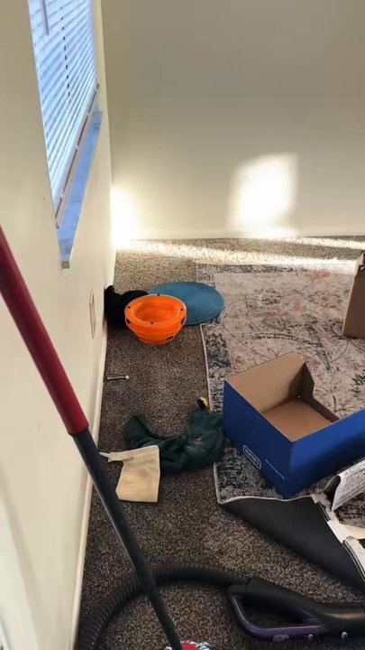 Extreme Cleaning - Limpeza de verdade, feita com capricho e perfeição! - Home Cleaning Near Me