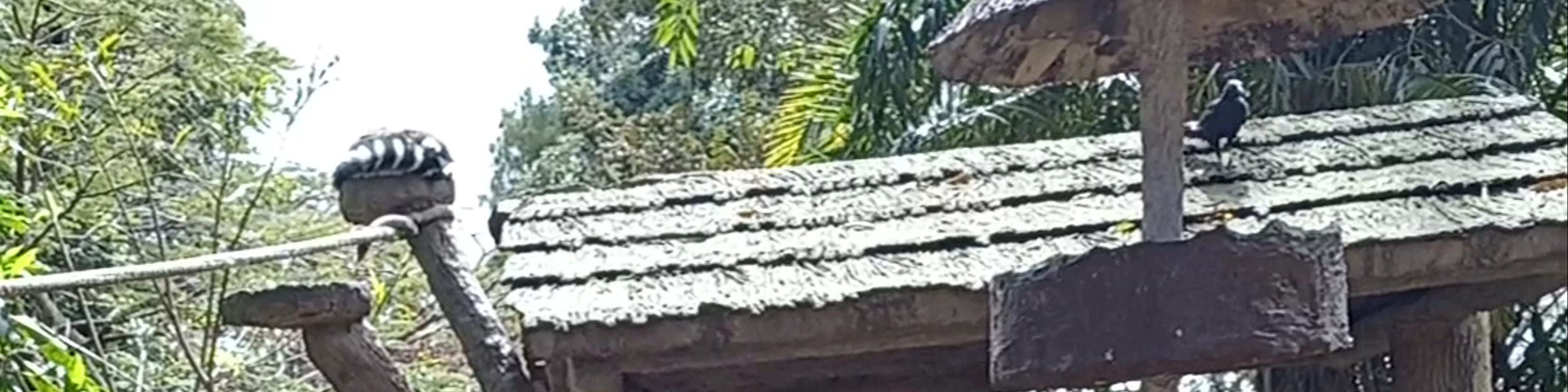 Zoológico La Aurora