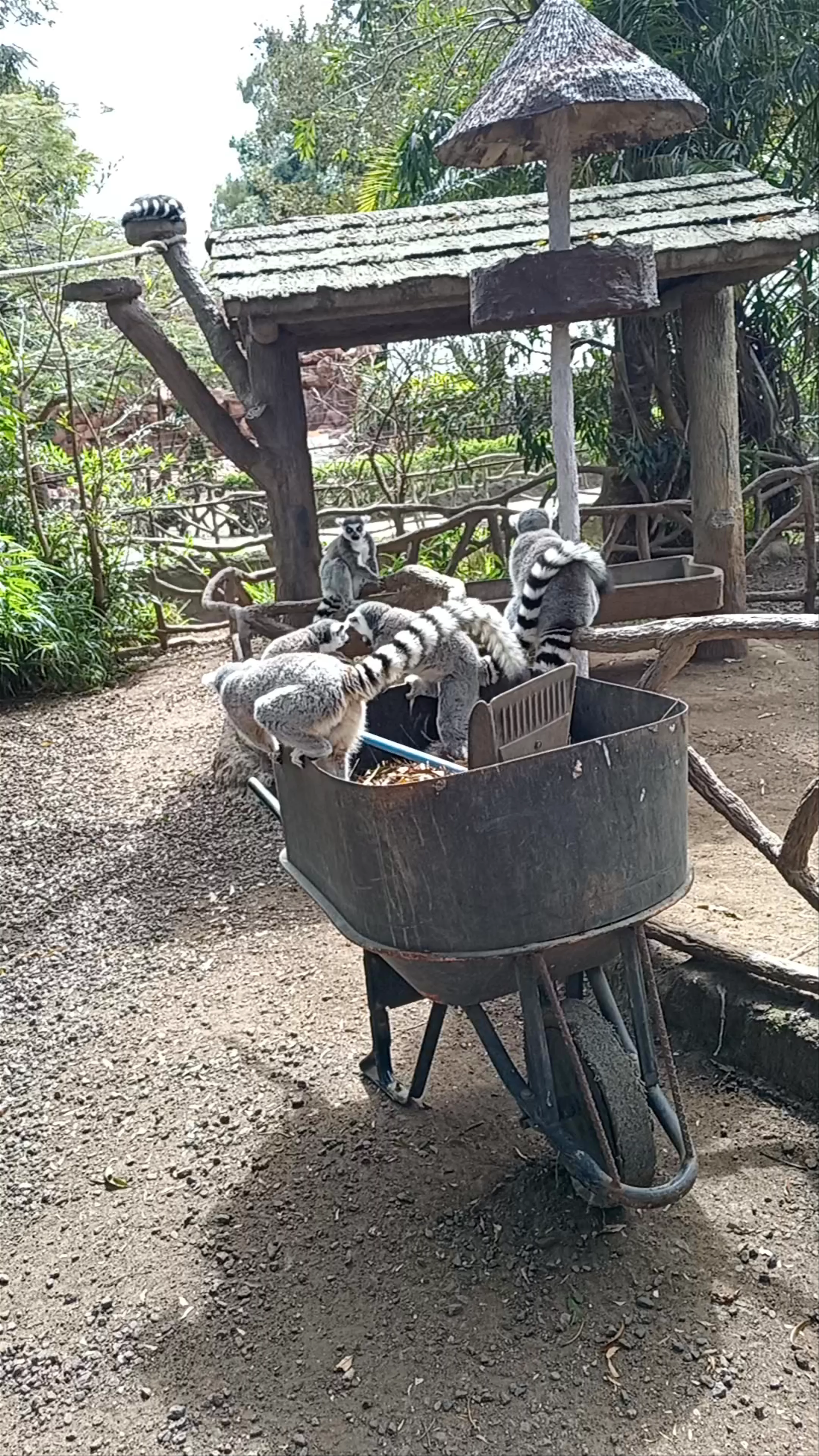 Zoológico La Aurora