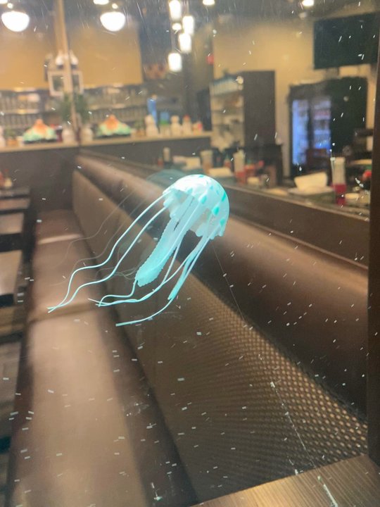 Sunflower Garden - Jelly Fish - Vietnamese Near Me - San Francisco, California