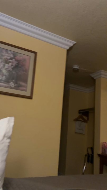 Magnuson Hotel - Most comfy beds! - Hotels Near Me - Blythe, California