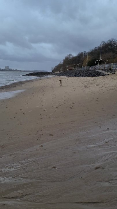 Elbstrand - Beaches Near Me - Hamburg, HH