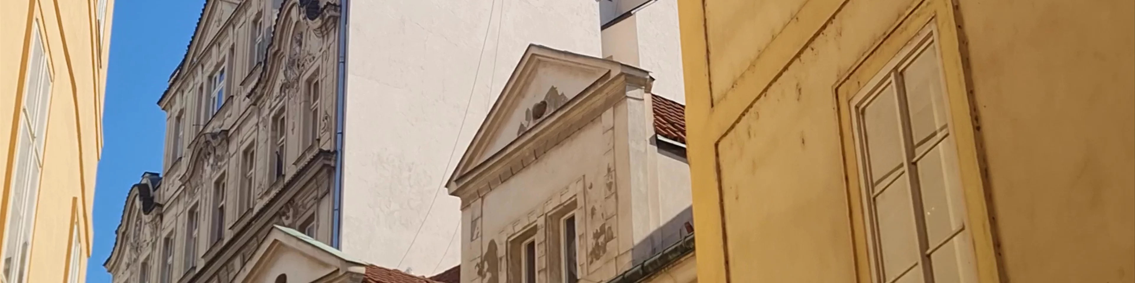Socha zavěšeného Sigmunda Freuda "Visec"