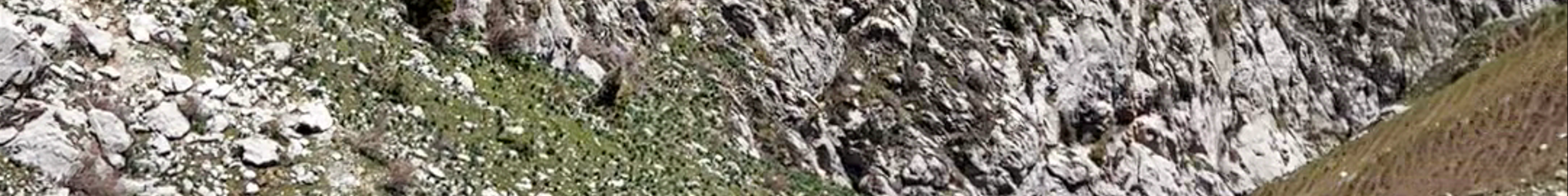 Tours & experiences in Jalal-Abad