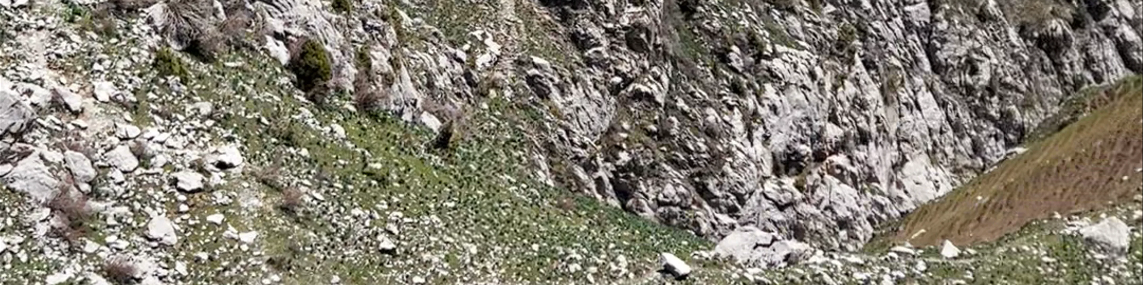 Gora Babash-Ata