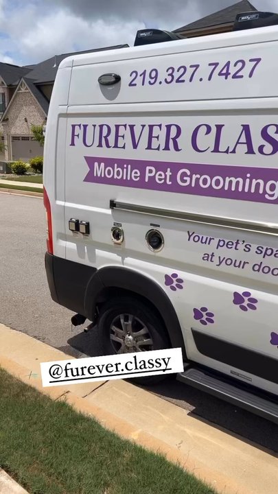 Furever Classy - FUREVER CLASSY - Pet Groomers Near Me