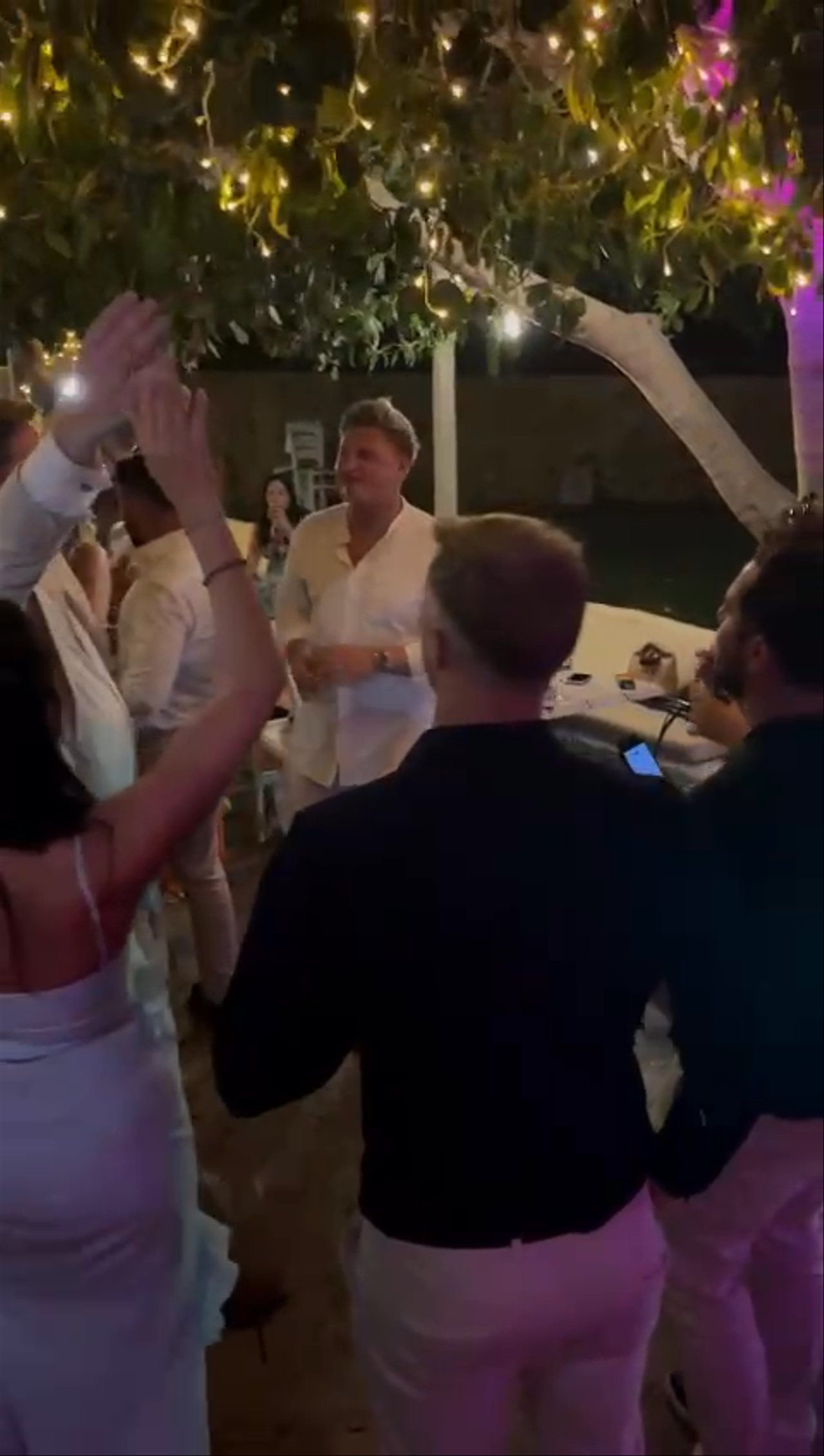 Just Eddy - Wedding in Rhodes - video 3