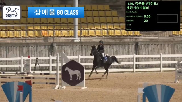 강은율 (레전드) — 2026 춘계전국승마대회 (생활체육&유소년) · 장애물 80cm
