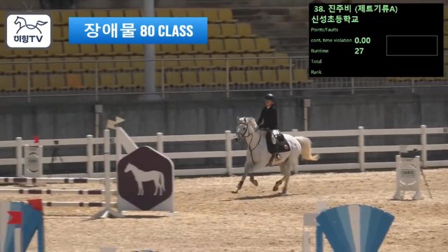 진주비 (제트기류 (제트기류A)) — 2026 춘계전국승마대회 (생활체육&유소년) · 장애물 80cm
