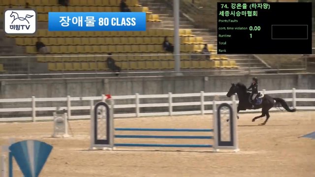 강은율 (타자왕) — 2026 춘계전국승마대회 (생활체육&유소년) · 장애물 80cm