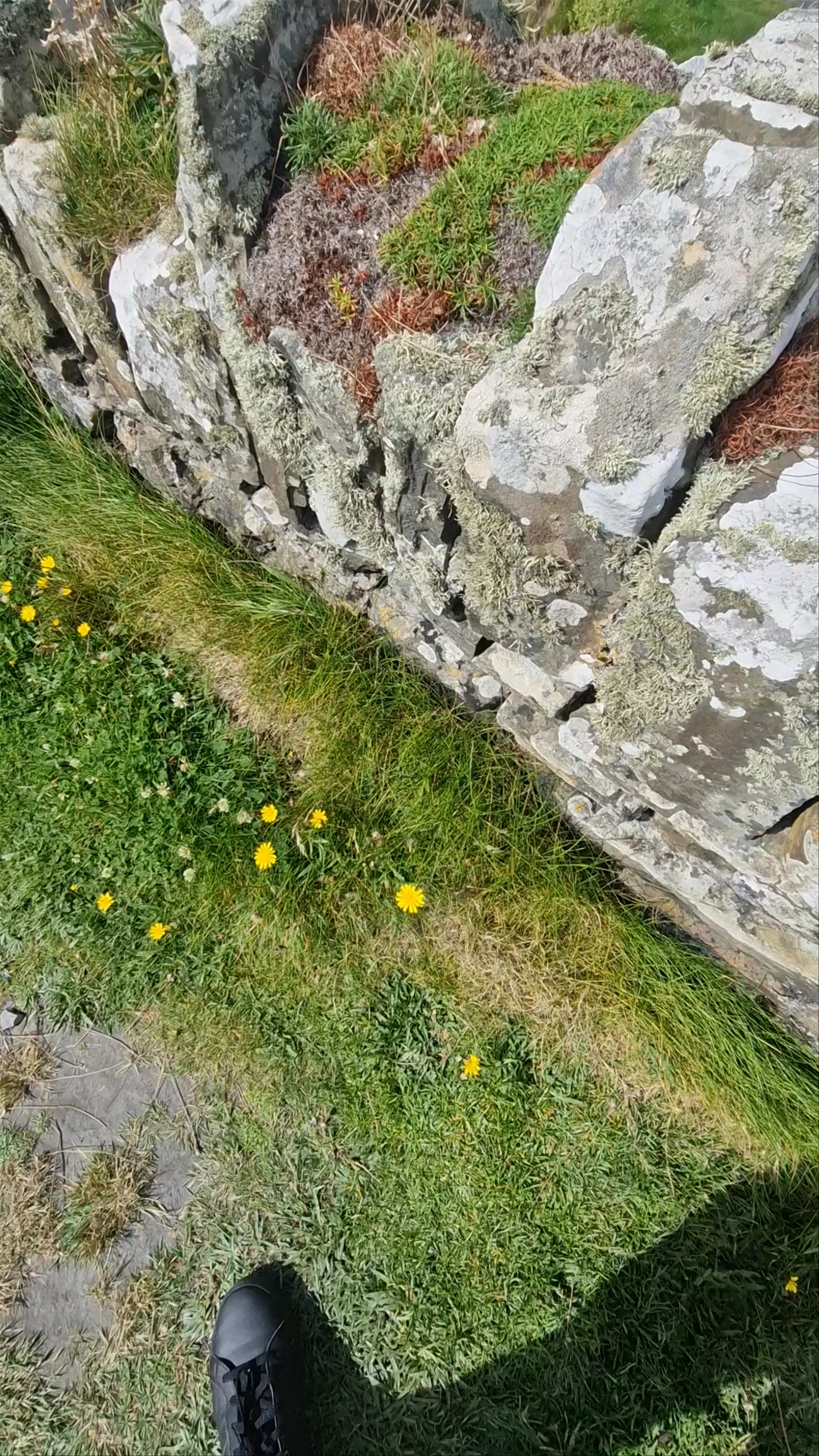 Cliffs of Moher Walking Trail