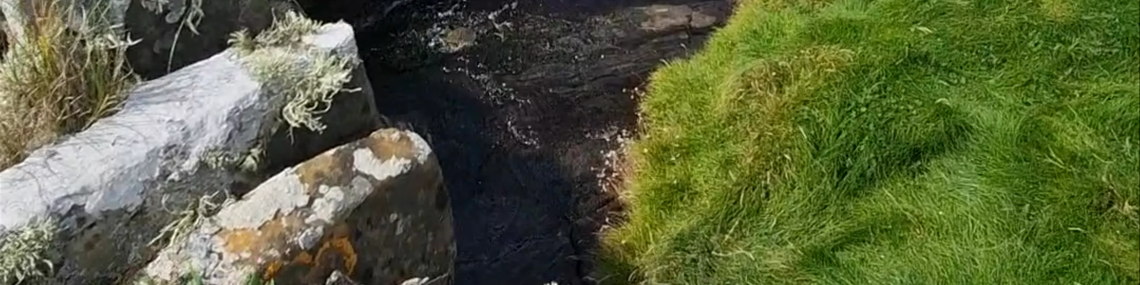 Cliffs of Moher Walking Trail