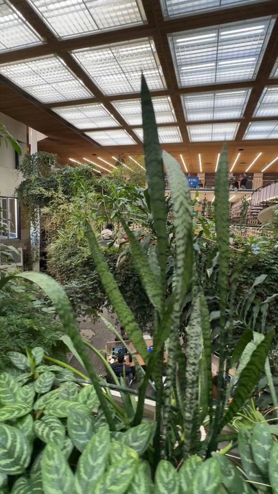 Downtown Reno Library - Best atmosphere and indoor plants! - Libraries Near Me - Reno, Nevada