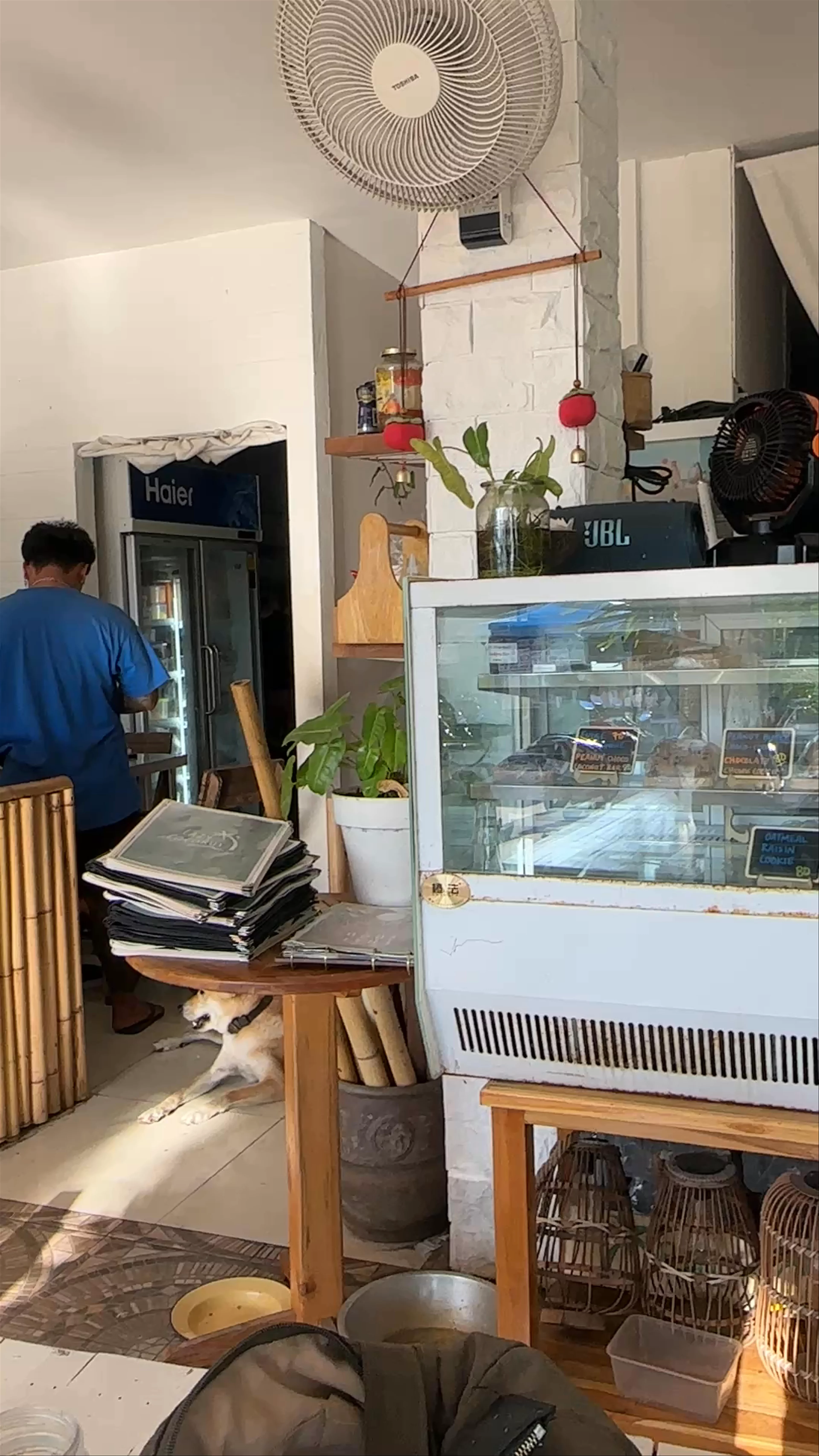 Lazy Coconut Cafe & Restaurant