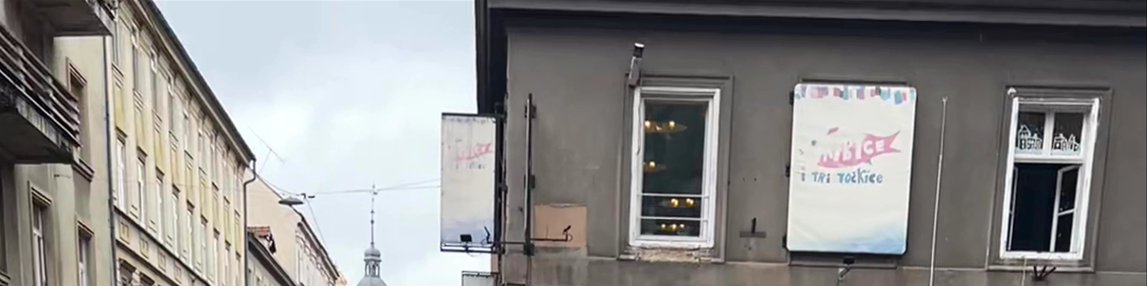 Katzenbild Streetart