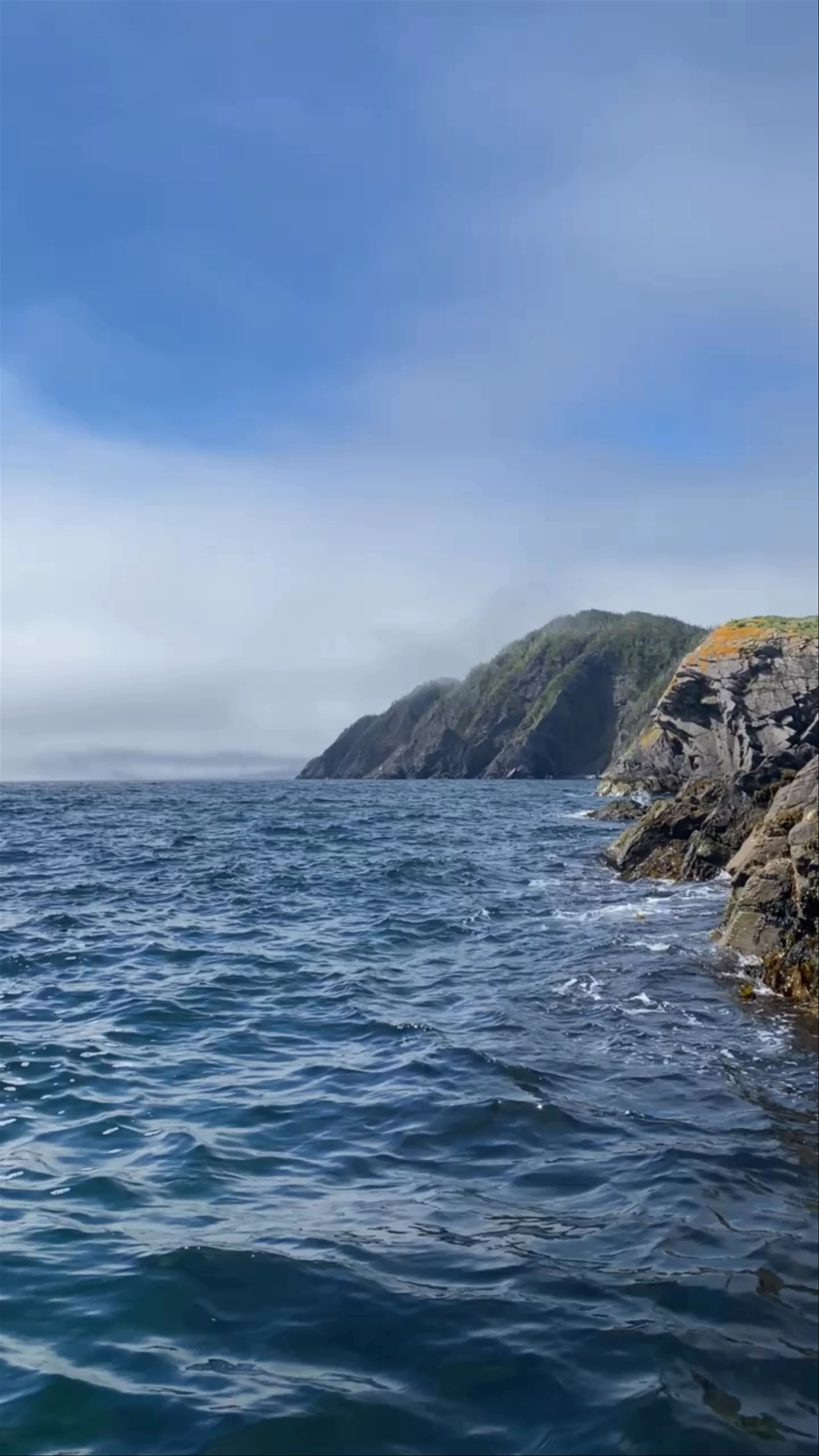 Sea of Whales Adventures
