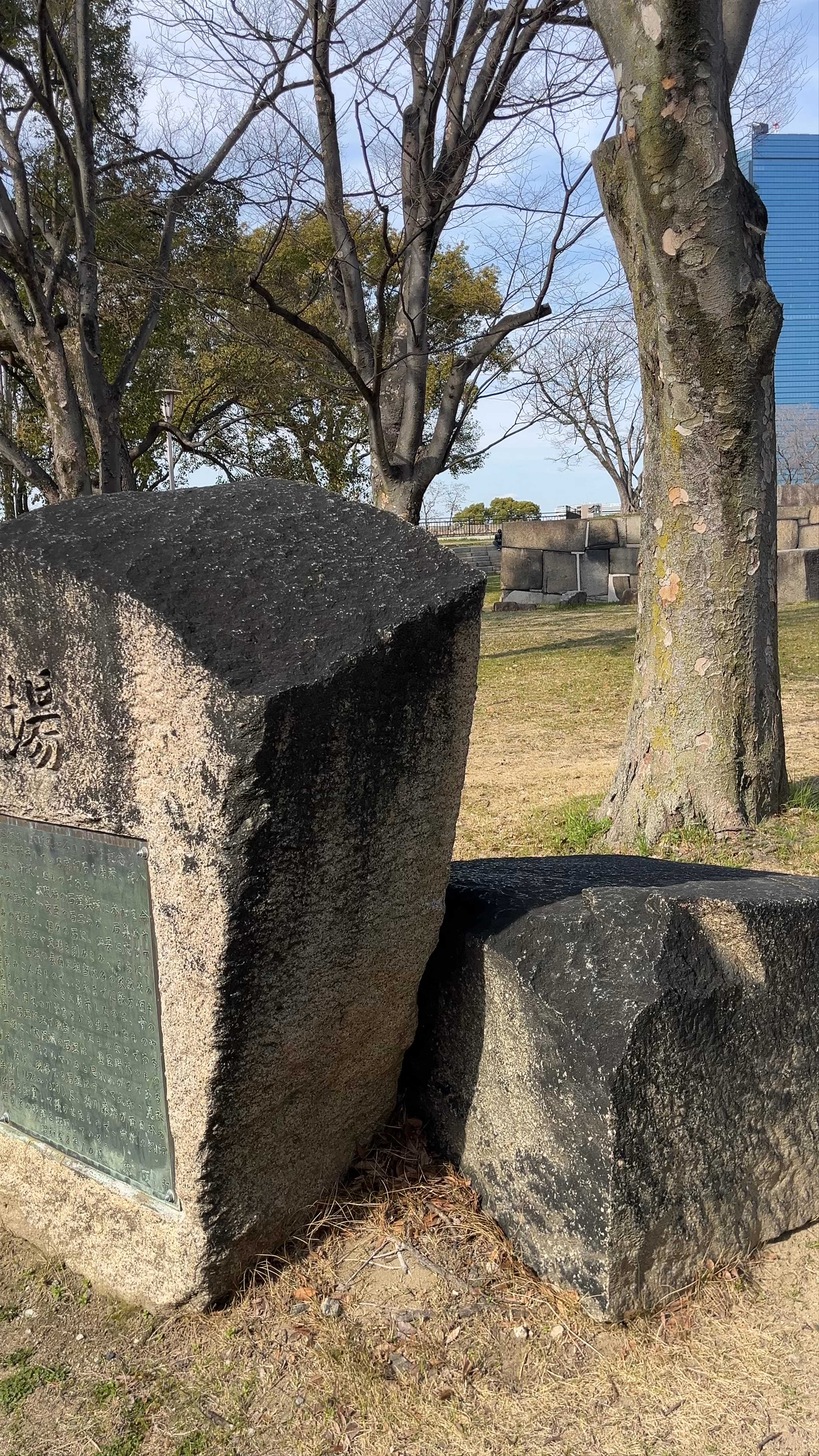 Display of Engraved Stones
